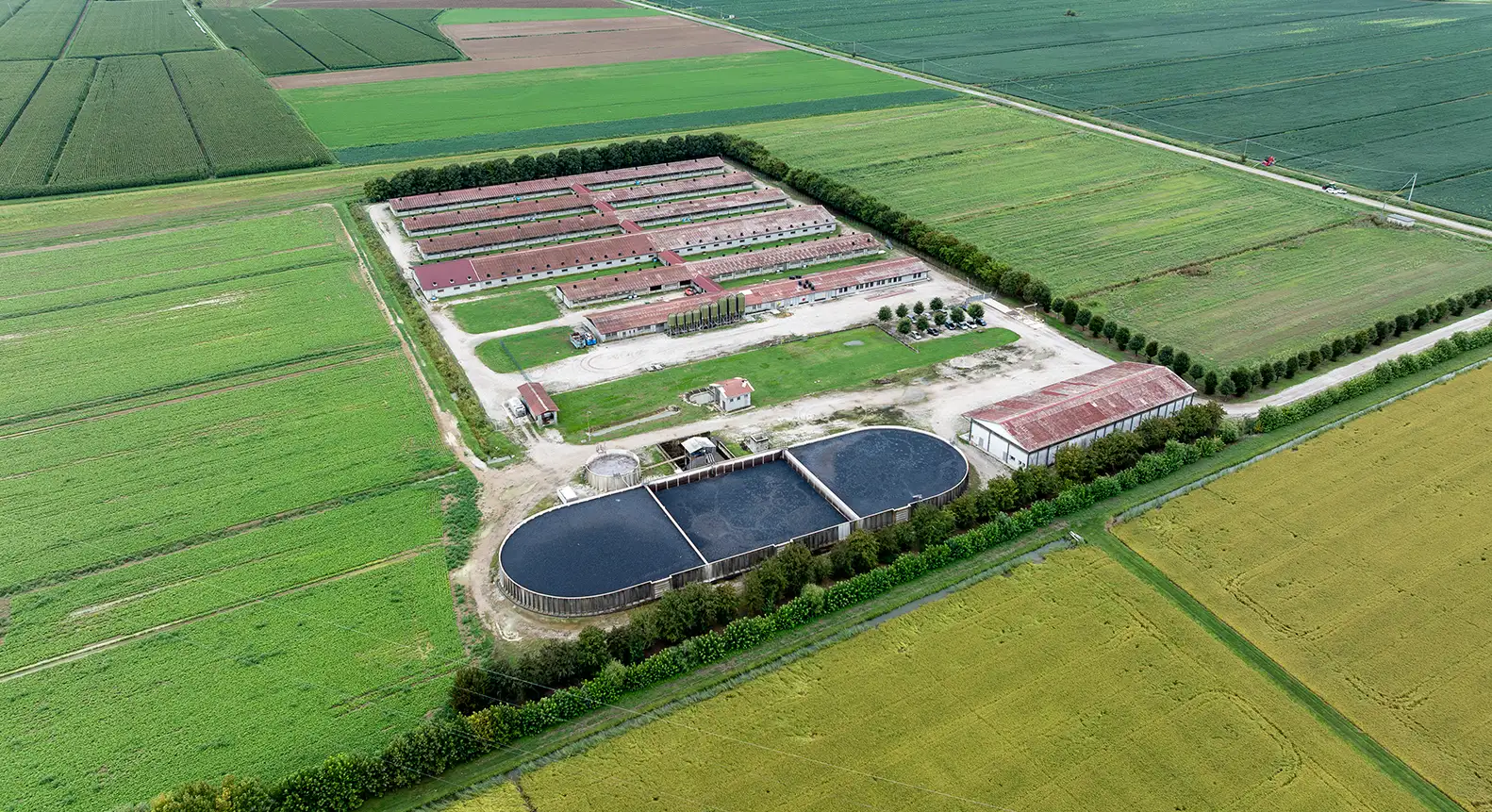 BIG AG